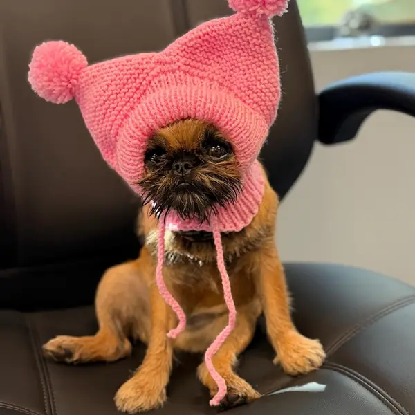 Customer photo: small dog wearing a Caperro hat